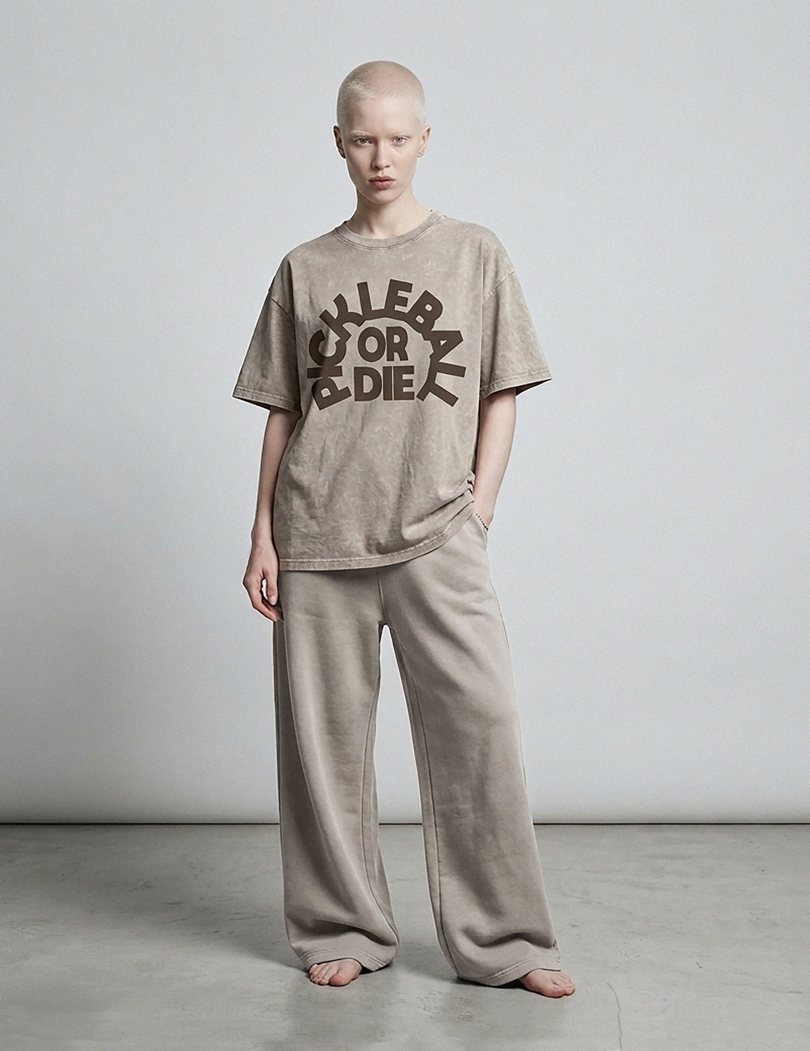 Pickleball or Die Oversized Cotton T-Shirt