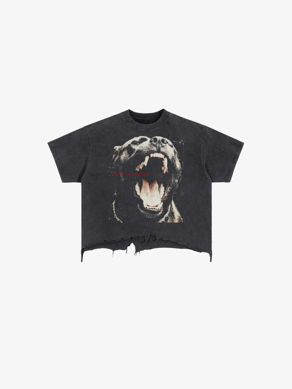 Prowl Vintage Wash Boxy Distressed Hem T-Shirt